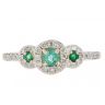 9ct Yellow Gold 0.30cts Diamond And Emerald Ring