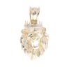 14ct Yellow And White Gold Lion Pendant