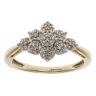 9ct Yellow Gold 0.20ct Brilliant Cut Diamond Cluster Ring