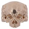 9ct Yellow Gold Fancy Skull Ring