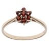 9ct Yellow Gold Garnet Cluster Ring