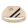 9ct Yellow Gold 0.01ct Diamond and Onyx Signet Ring