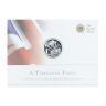 2013 Elizabeth II Fourth Portrait Brilliant Uncirculated Sealed UK Twenty Pound Coin