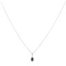 9ct Yellow Gold 0.05ct Diamond and Sapphire Cluster Pendant and Chain 18"