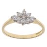 18ct Yellow Gold 0.25ct Brilliant Cut Diamond Cluster Ring