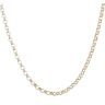 9ct Yellow Gold Belcher Chain 18"