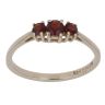 9ct Yellow Gold Garnet Three Stone Ring