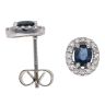 9ct White Gold 0.15ct Diamond and Sapphire Cluster Earrings