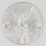 2010 1oz Mexico Libertad Coin