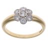 18ct Yellow Gold 0.55ct Brilliant Cut Diamond Cluster Ring