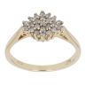 9ct Yellow Gold 0.25ct Brilliant Cut Diamond Cluster Ring