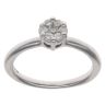 9ct White Gold 0.25ct Brilliant Cut Diamond Cluster Ring