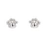 Silver Paw Print Stud
