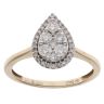 9ct Yellow Gold 0.50ct Brilliant Cut Diamond Cluster Ring