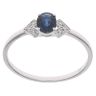 9ct White Gold 0.04ct Diamond and Sapphire Ring
