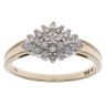9ct Yellow Gold 0.25ct Brilliant Cut Diamond Cluster Ring