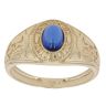 9ct Yellow Gold Blue Gemstone College Ring