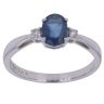 18ct White Gold 0.05ct Diamond and Sapphire Ring