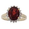 9ct Yellow Gold 0.20ct Brilliant Cut Diamond and Garnet Cluster Ring