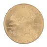 2005 1oz Golden Eagle USA Coin