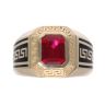 14ct Yellow Gold Gents Stone Set Ring
