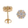 Gold Plated Silver Cubic Zirconia Cluster Stud Earrings