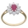 9ct Yellow Gold Ruby And 0.50ct Diamond Cluster Ring