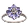 9ct White Gold 0.05ct Diamond and Tanzanite Cluster Ring