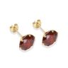 9ct Yellow Gold Garnet Cubic Zirconia Stud Earrings 8mm