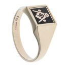9ct Yellow Gold Spinning Masonic Signet Ring