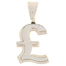 9ct Yellow Gold Cubic Zirconia Pound Sign Pendant