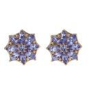 9ct Yellow Gold Tanzanite Cluster Stud Earrings