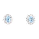 18ct Yellow Gold 0.30ct Diamond And Aquamarine Cluster Earring