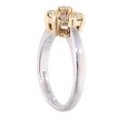 18ct Yellow and White Gold 0.40ct Diamond Cluster Ring