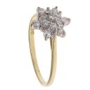 18ct Yellow Gold 0.30ct Brilliant Cut Diamond Cluster Ring