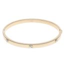 9ct Yellow and White Gold Screw Hinged Bangle