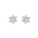 22ct Yellow Gold Cubic Zirconia Earring Studs