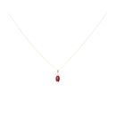 9ct Yellow Gold Garnet Pendant And Chain 18"