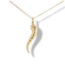 9ct Yellow Gold Horn of Plenty Pendant And Chain