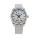 Omega Seamaster Aqua Terra Pre Owned Watch Ref 22012412102005