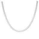 Silver Curb Chain 22"
