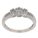 9ct White Gold 0.25ct Brilliant Cut Diamond Cluster Ring