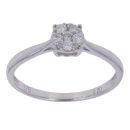 9ct White Gold 0.20ct Brilliant Cut Diamond Cluster Ring