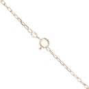 9ct Yellow Gold Belcher Chain 22"