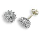 9ct White Gold 0.25ct Diamond Earrings