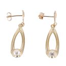 9ct Yellow Gold Cubic Zirconia Drop Earrings