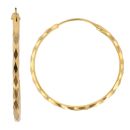 22ct Yellow Gold Faceted Hoop Earrings
