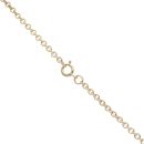 9ct Yellow Gold Belcher Chain 20"