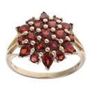 9ct Yellow Gold Garnet Fancy Cluster Ring