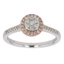 9ct White and Rose Gold 0.25ct Brilliant Cut Diamond Cluster Ring